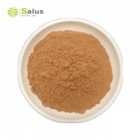 High Quality Powder Cinnamon Bark Extract