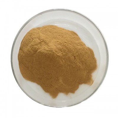 Agaricus Blazei Extract 4:1 Powder Agaricus bisporus