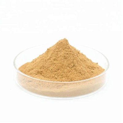 Factory supply 100% natural shiitake mushroom extract powder