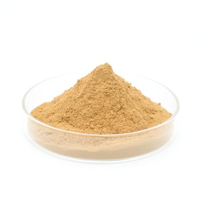 Natural Ingredients Cordyceps Sinensis Extract 10:1