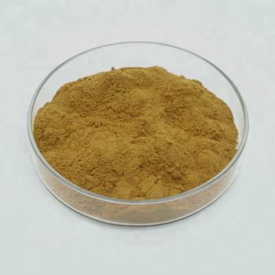 Ginkgo Biloba P.E. 24/6/Ginkgo Biloba Leaf Extract